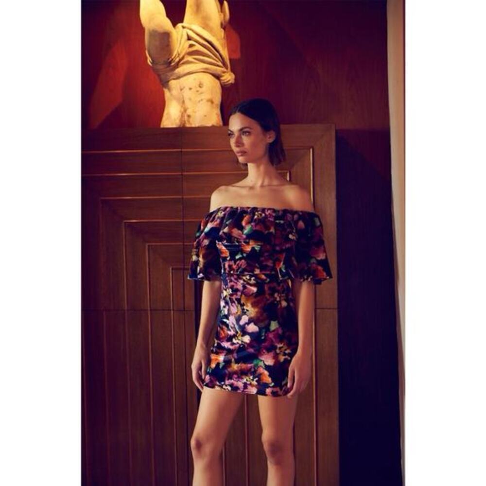 MISA Dress Velvet Los Angeles Anetta in Libra Fleur Size 6 NWT (Retail $385)